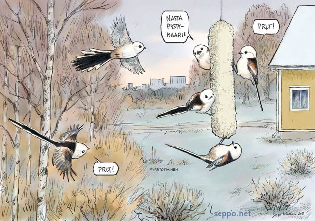  Pyrstötiainen - parvi ruokinnalla, keywords:
 pyrstötiainen ruokinta lintujen ruokinta syksy Aegithalos gaudatus pystybaari vaellus muutto piirros