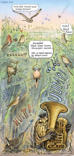  Lintukosteikko – yölaulajat, keywords:
 linnut yölaulaja lintulahti järvi konsertti laulu Asio flammeus Carpodacus erythrinus Locustella naevia Acrocephalus schoenobaenus dumetorum Porzana Gallinago Anthus pratensis Botaurus stellaris pilapiirros