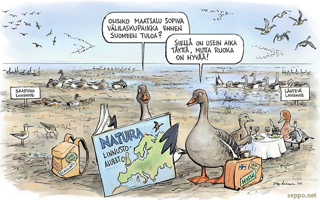  Metshanhi muuttomatka ja Natura-alue, keywords:
 metshanhi kosteikko linnustoalue levhdyspaikka muutto Natura hanhi liro haapana jouhisorsa lapasorsa IBA-alue suojelualue