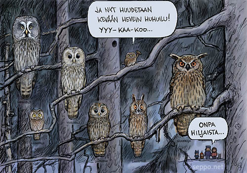  Pöllöt huhuilee, keywords:
 pöllö pöllöt pöllöjen kuuntelu lapinpöllö huuhkaja bubi viirupöllö helmipöllö lehtopöllö sarvipöllö varpuspöllö perhe kevät yö Strix nebulosa Strix uralensis Strix aluco Bubo bubo Aegolius funereus Asio otus Glaucidium