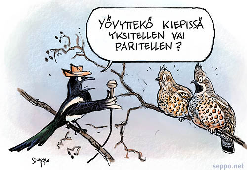  Pyyt ja harakka - yksitellen vai paritellen, keywords:
 pyy harakka yksitellen paritellen pari toimittaja juoru Bonasia bonasia Pica pica pilapiirros