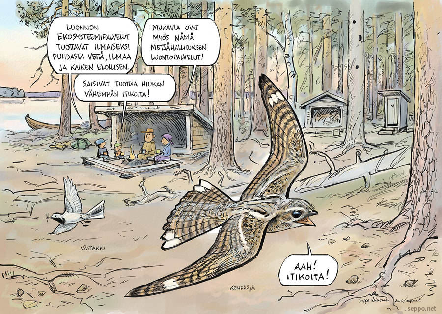 Kesäretki - luontopalvelut ja ekosysteemipalvelut