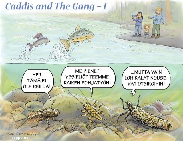  Pohjaeläimet ja lohikalat, keywords:
 harjus ihailu kalat koskikorento lohikala maine pilapiirros pohjatyö päivänkorento sirvi taimen toukka vaelluskalat vesieliö vesihyönteinen vesiperhonen virtavesiluonto