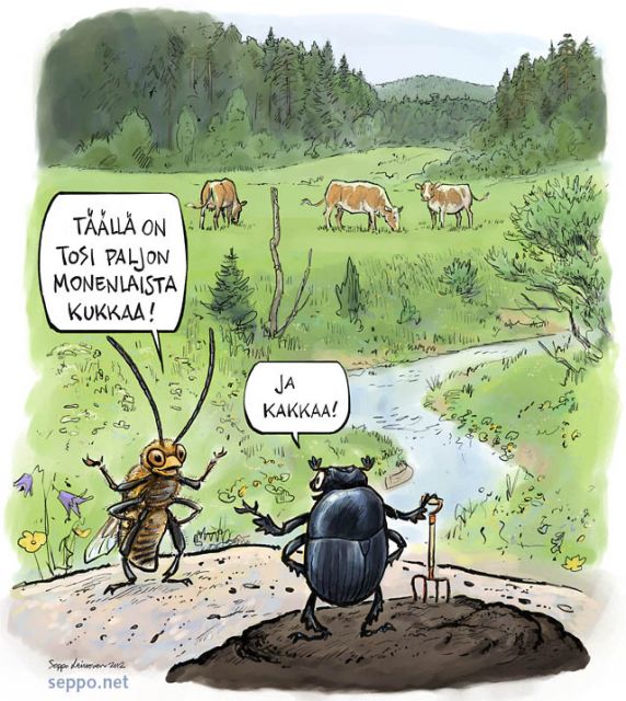  Sipoonkorpi - niitty ja ötökät, keywords:
 niitty laidun perinnemaisema kukkaketo puro luonnonkukat pölytys lanta pitkäsarvimehiläinen Eucera longicornis lantakuoriainen ukkolantiainen Aphodius fossor lehmä Sipoonkorpi pilapiirros