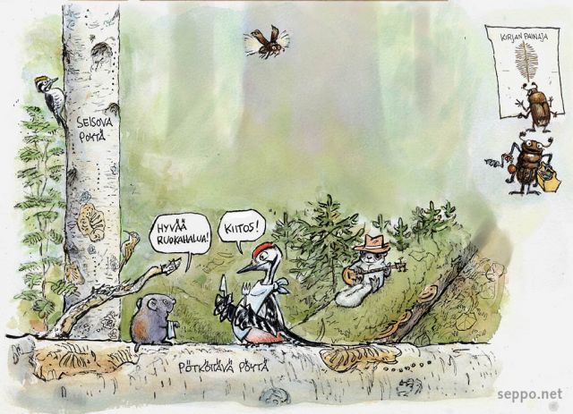  Luonnon monimuotoisuus - lahopuu, keywords:
 pilapiirros monimuotoisuus vanha metsä koivu kuusi haapa maapuu lahopuu pohjantikka puukiipijä metsäsopuli valkoselkätikka liito-orava kirjanpainaja Ips typographus