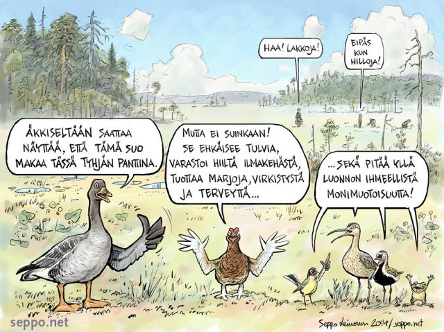  Suon ekosysteemipalvelut, keywords:
 ekosysteemipalvelut elämää ylläpitävä luonto hiilivarasto tulvasuojelu luonnontilainen suo avosuo hilla lakka metsähanhi riekko keltavästäräkki pikkukuovi kapustarinta sammakko piirros