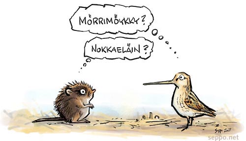 Vesimyyrä ja taivaanvuohi
