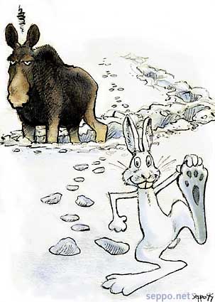  Hirvi ja jänis umpihangessa, keywords:
 hirvi jänis lumi talvi lumikenkä jäljet elk moose hare snow shoes winter