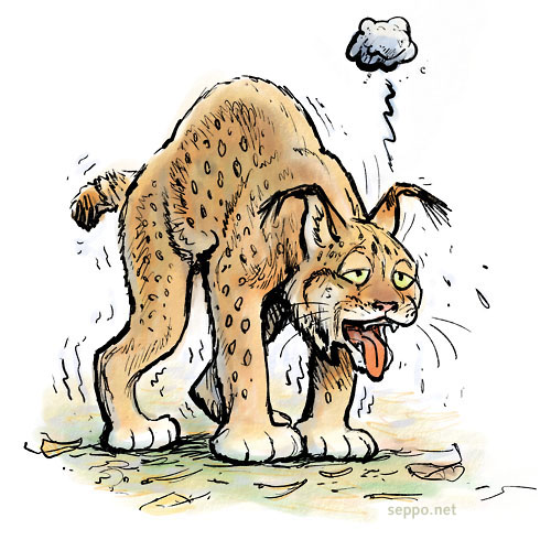  Ilves, keywords:
 ilves spurtti saalistus sprintteri Lynx lynx lo piirros pilapiirros