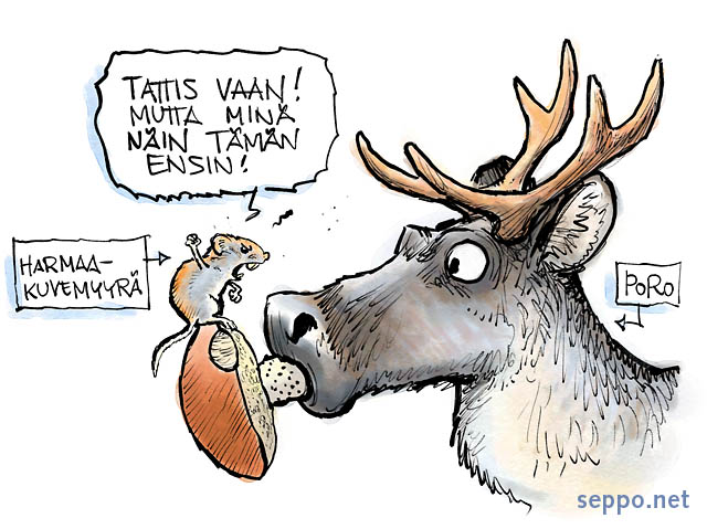  Poro ja myyrä – kiista luonnonvaroista, keywords:
 poro myyrä harmaakuvemyyrä tatti ravinto kiista Lappi Rangifer tarandus Myodes rufocanus pilapiirros