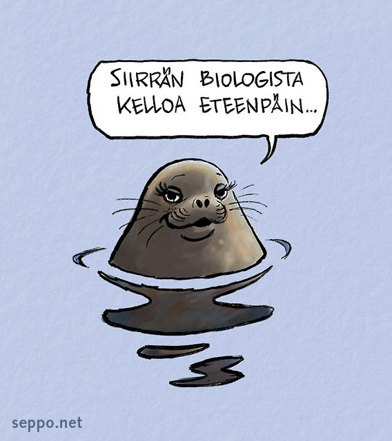  Norppa - viivästynyt sikiönkehitys, keywords:
 pilapiirros norppa naaras biologinen kello kiima viivästynyt sikiönkehitys Pusa hispida