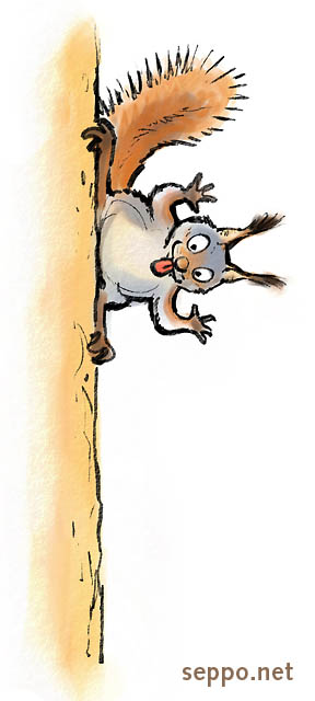  Orava ilkkuu , keywords:
 pilapiirros orava Sciurus vulgaris ilveily härnäys pelleily