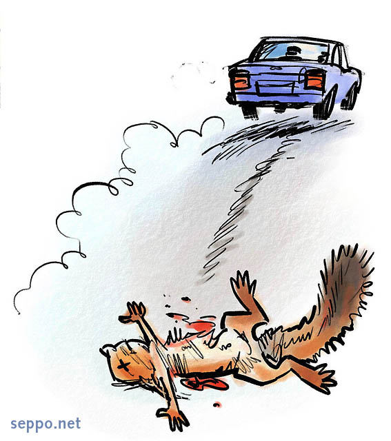  Orava - tiekuolema, keywords:
 piirros orava liikenne auto tie kuolema Sciurus vulgaris