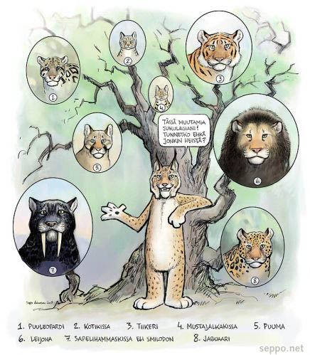  Ilves ja muita kissaeläimiä, keywords:
 ilves puuleopardi kotikissa tiikeri puuma mustajalkakissa leijona smilodon jaguaari Felis silvestris catus Felis nigripes Lynx lynx Puma concolor Neofelis nebulosa Panthera leo Panthera tigris Panthera onca Smilodon fatalis