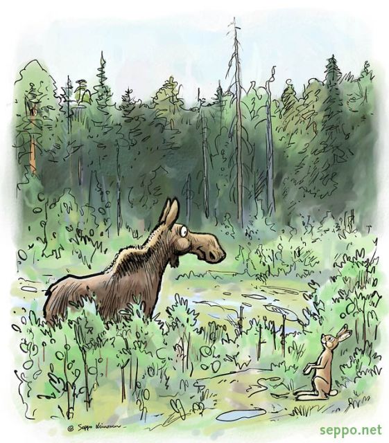  Hirvi ja jänis syövät vesakkoa, keywords:
 hirvi jänis vesakko taimikko metsä aukea riista kesä piirros Lepus timidus Alces alces