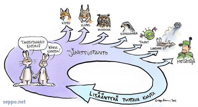  Jäniskanta - kannan säätely, keywords:
 pilapiirros jänis Lepus timidus lisääntyminen populaatio kanta jäniskanta metsästys kannan säätely saalistajat