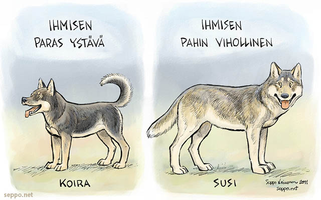  Koira ja susi, keywords:
 koira susi kesy kotieläin lemmikki villi villieläin ihmisen para