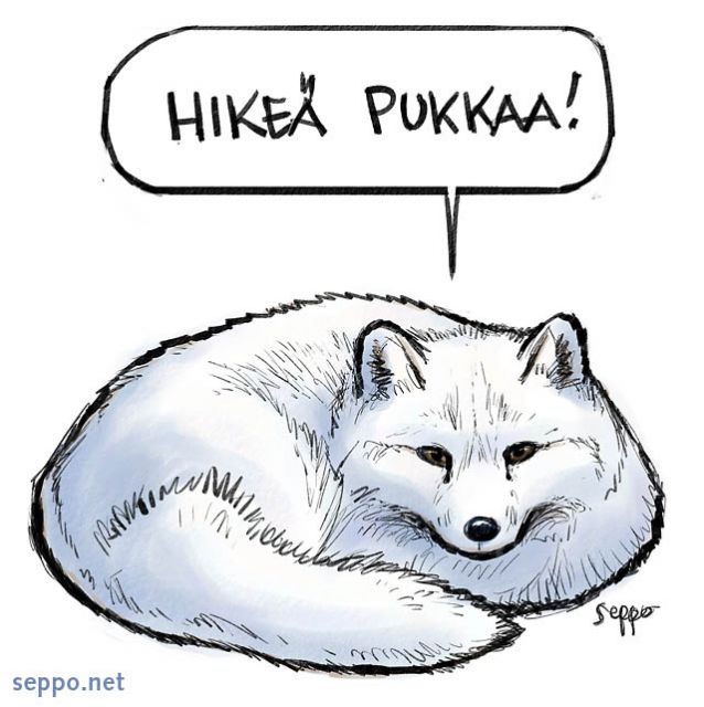  Naali ja paksu turkki, keywords:
 pilapiirros naali turkki lämmin talvi pakkanen Vulpes lagopus