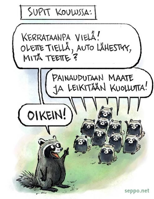  Supikoirat koulussa, keywords:
 pilapiirros supikoira kanta liikenne kuolema autotie Nyctereutes procyonoides