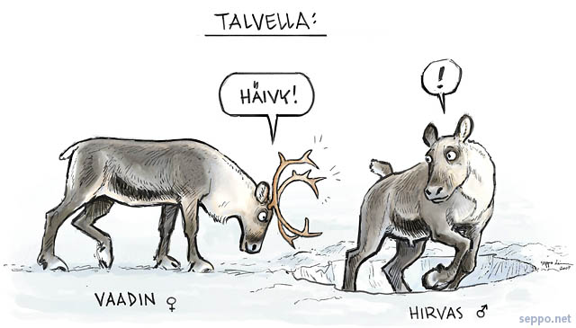  Poro - hirvas ja vaadin jäkäläkaivoksella, keywords:
 poro hirvas vaadin jäkälä kaivos sarvet pilapiirros