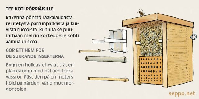  Pönttö pölyttäjähyönteisille, keywords:
 pönttö keinopesä pölyttäjähyönteinen hyönteishotelli mehiläinen pistiäinen pörriäinen piirros