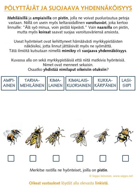  Pölyttäjät – pistiäiset ja niiden matkijat, keywords:
 ampiainen biologia kimalainen kimalaiskuoriainen koulu kukkakärpänen lapset lasisiipi mantukimalainen mehiläinen mimikry piirros pölyttäj suojaava yhdennäköisyys tarhamehiläinen tehtäv
