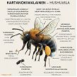 kartanokimalainen_fi.jpg