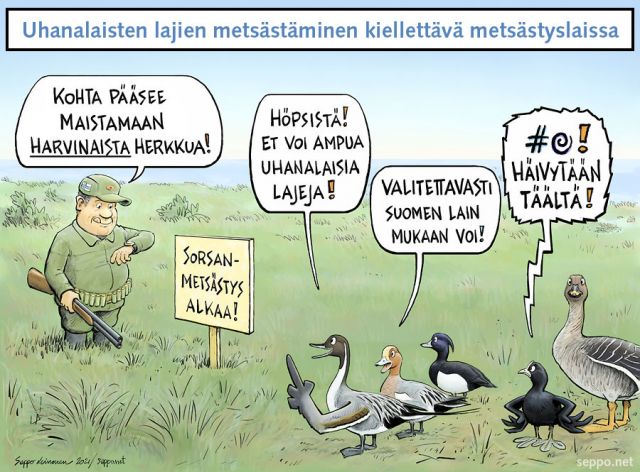  Suomessa saa metsästää uhanalaisia lajeja, keywords:
 anas acuta anser fabalis rossicus aythya fuligula fulica atra haapana jouhisorsa laki luonnonsuojelulaki mareca penelope metsästys metsästyslaki metsästäjä nokikana pilapiirros sorsastus tukkasotka tundrametsähanhi uhanalainen laji