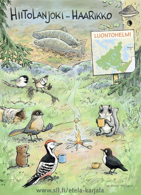  Hiitolanjoki Haarikko luontohelmi, keywords:
 Hiitolanjoki Haarikko luontohelmi Laatokanlohi kuukkeli koskikara liito-orava luonto suojelu nuotio haapa kolo kolopuu kartta piirros