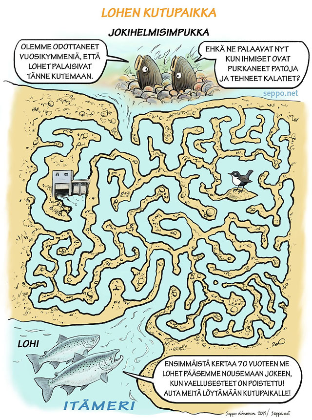 Auta lohia löytämään kutupaikka