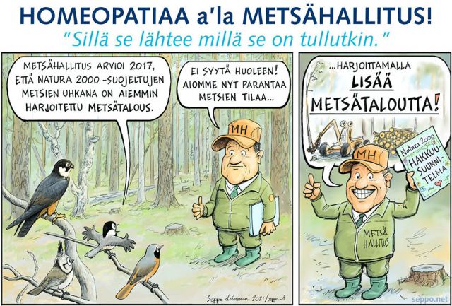  Metsähallitus hoitaa Natura-metsiä, keywords:
 2000 Kaarresalo Kuosto Natura Oulujärvi hakkuu harjumetsä hömötiainen ilmasto lajikato leppälintu luonnonmetsä luontoarvot metsähallitus metsät metsä metsätalous nuolihaukka pilapiirros suojelu töyhtötiainen uhka
