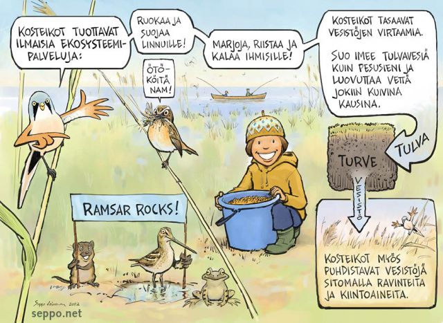 Liminganlahti on tärkeä lintualue ja suojeltu kosteikko