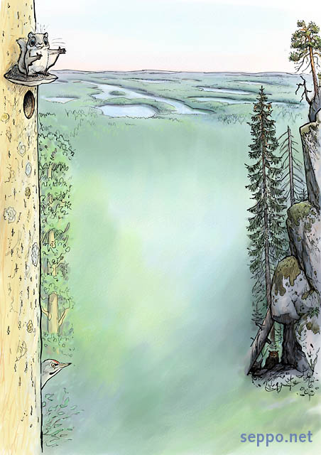  Nuuksio - erämaa Helsingin seudulla, keywords:
 Nuuksio Noux erämaa järviylänkö metsä kallio jyrkänne liito-orava huuhkaja harmaapäätikka piirros