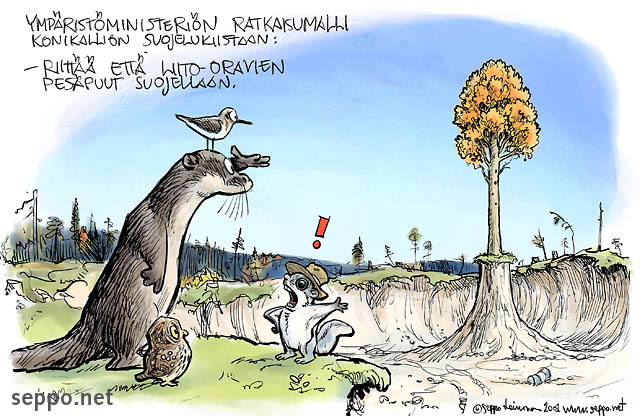  Liito-orava - suojeltu pesäpuu, keywords:
 metsien suojelu liito-orava reviiri Forssa Konikallio hakkuukielto pesäpuu kolopuu ympäristöministeriö kiista luonnonsuojelu saukko varpuspöllö rantasipi Pteromys volans Lutra lutra Glaucidium passerinum Actitis hypoleucos pilapiirros