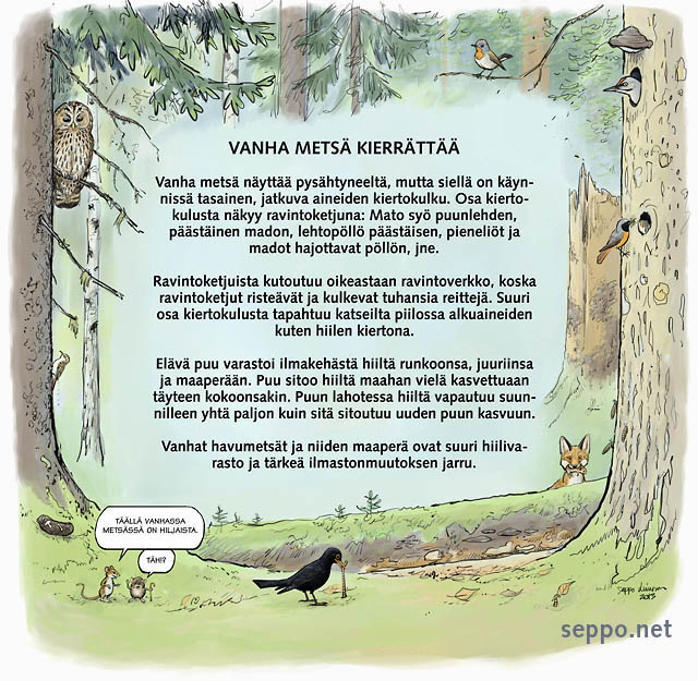  Vanha metsä sitoo ja kierrättää hiiltä, keywords:
 vanha metsä kierrätys hiili hiilivarasto hiilen sidonta elämä Maunula luontopolku pikkusieppo harmaapäätikka lehtopöllö leppälintu puukiipijä kettu metsähiiri metsäpäästäinen musta