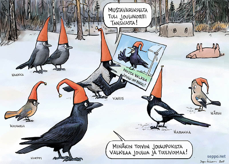 Musta valkea Joulu on paras - varislinnut ja Joulu