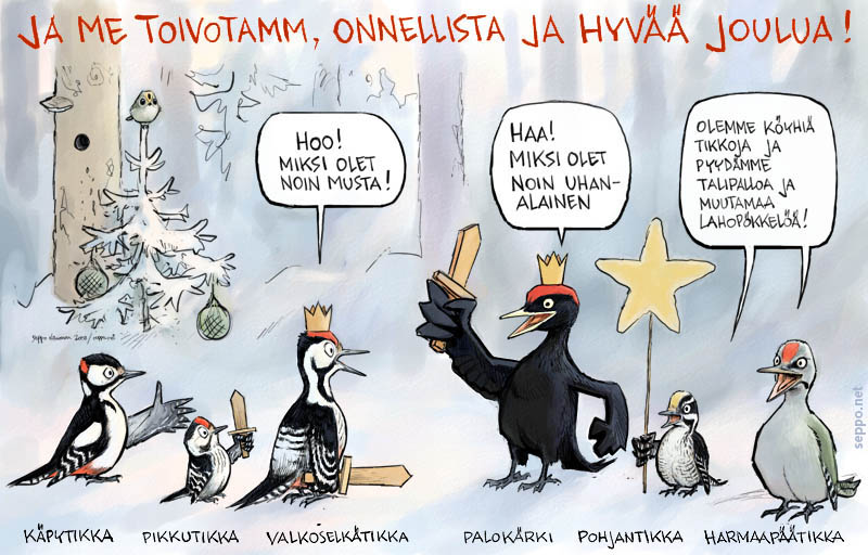 Tiernapojat tikat ja Joulu