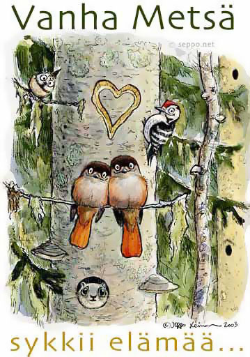 Vanha metsä sykkii elämää...