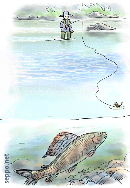  Perhokalastaja ja harjus, keywords:
 perhokalastus kalastaja harjus harri Thymallus thymallus lohikala piirros