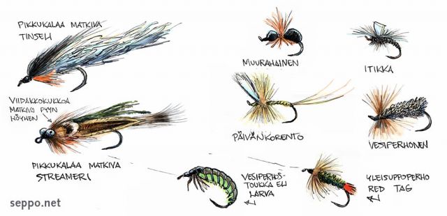  Perhonsidonta – erilaiset perhot, keywords:
 perhokalastus perhonsidonta perhot viehe vieheet tinseli streameri larva uppoperho piirros