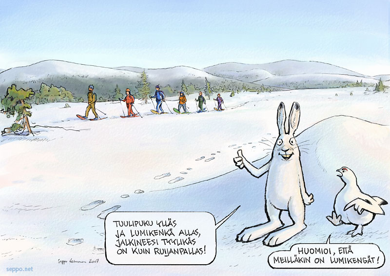 Luontoilu - Lumikenkäilyä Ylläksellä - Sepponet - Luontokuvia ja  pilapiirroksia