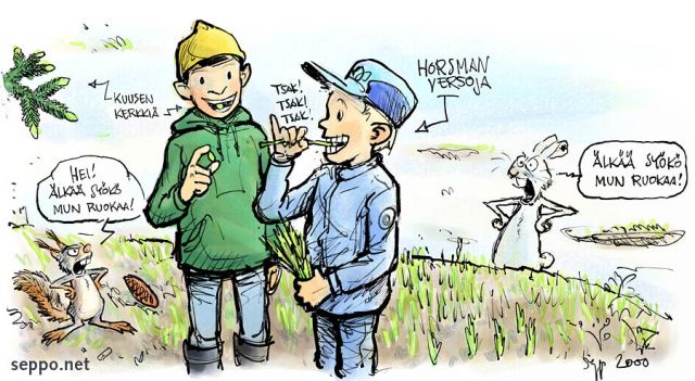  Ruokaa luonnosta, keywords:
 luonnontuote retkiruoka kuusenkerkkä horsmanverso kasvisruoka kevät orava jänis Sciurus vulgaris Lepus timidus pilapiirros
