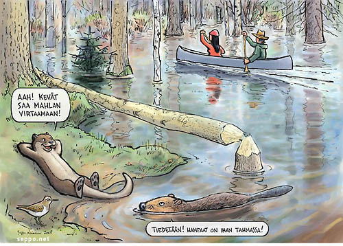  Melojat keväisellä tulvivalla joella, keywords:
 melonta melominen kevät tulva joki kanootti saukko majava rantasipi Suomen latu piirros pilapiirros