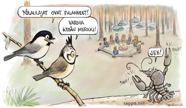  Kesäretki – leiriläiset iltanuotiolla, keywords:
 kesä leiri retki nuotio ilta yö teltta telttailu nuotio illanvietto männikkö yölaulajat hömötiainen töyhtötiainen rapu Parus montanus Parus cristatus Astacus piirros