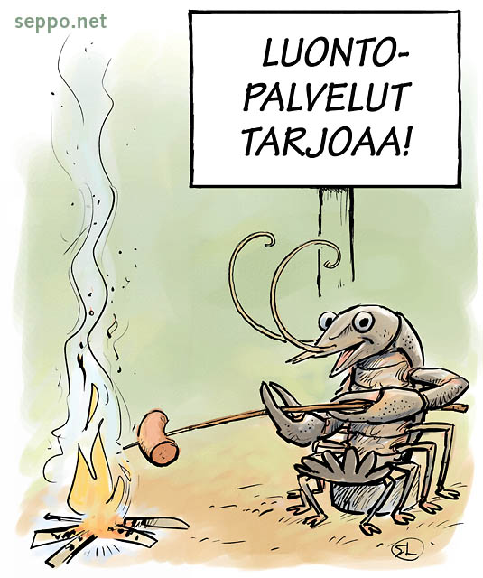  Nuotiopaikka - rapu paistaa makkaraa, keywords:
 luontopalvelut nuotio tuli nuotiopaikka retkeily ruokailu makkara rapu Astacus astacus piirros