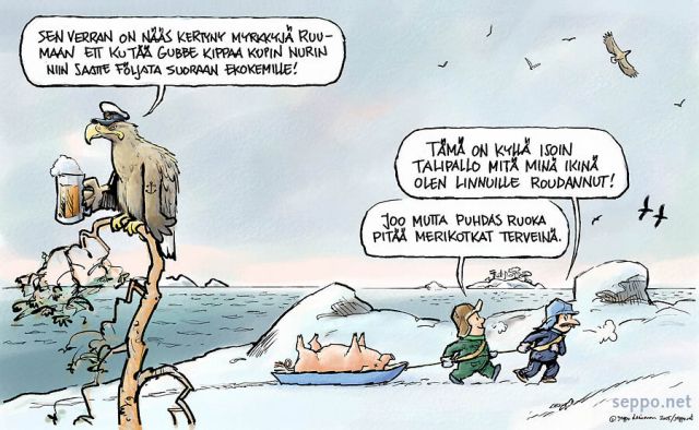  Merikotka kemikaalit ja talviruokinta, keywords:
 lintuharrastus talvi merikotka kemikaali lintujen ruokinta pilapiirros Itämeri ongelmajäte pilapiirros