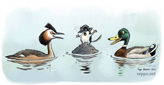  Porinaryhmä – aiheena vesistön kunnostaminen , keywords:
 keskustelu ryhmätyö silkkiuikku sinisorsa vesipäästäinen Podiceps cristatus Anas platyrhynchos Neomys fodiens pilapiirros