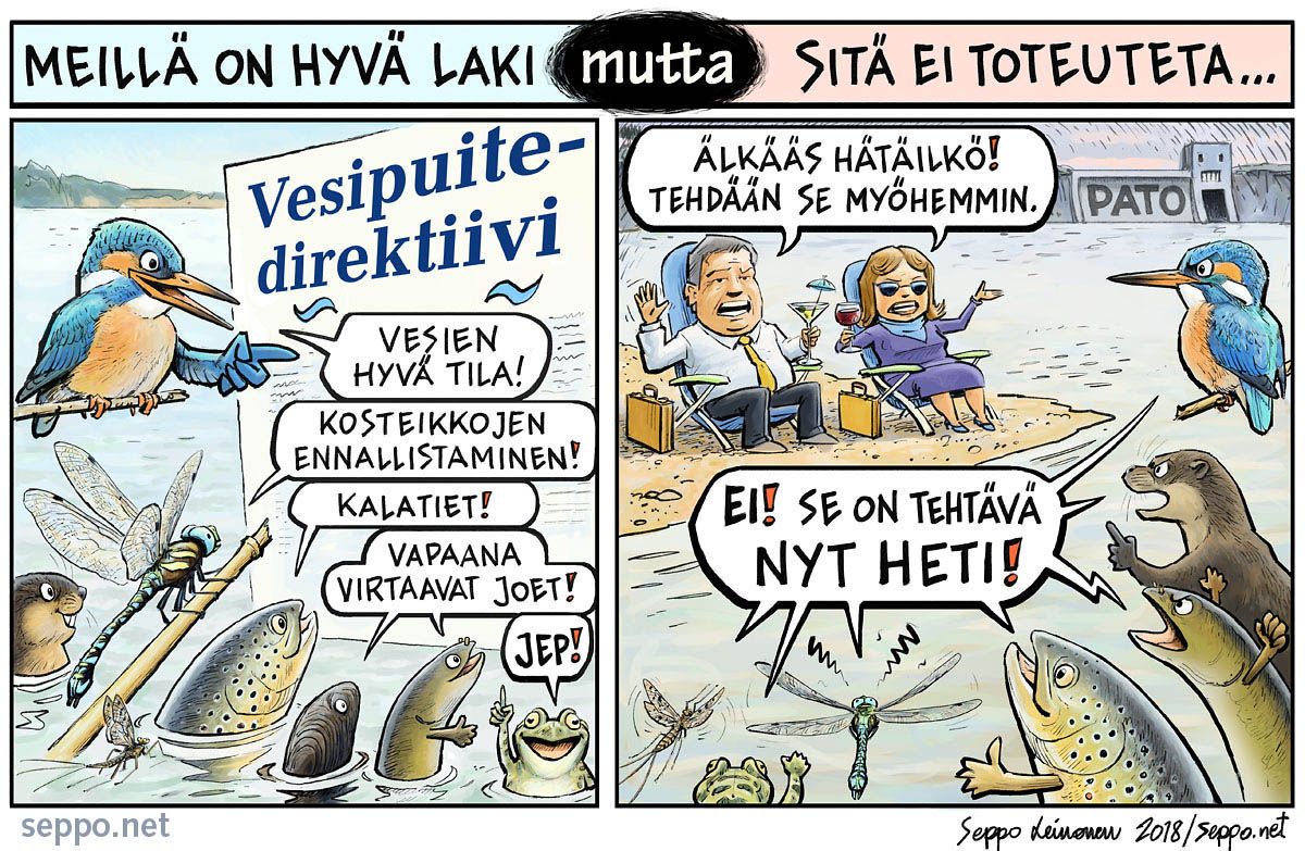  EU:n vesilaki on hyvä - mutta sitä ei toteuteta, keywords:  EU ankerias hyvä joki järvi kalatie kosteikot kuningaskalastaja monimuotoisuus pato pilapiirros raakku ravinteet sammakko saukko sisävesi sudenkorento surviainen taimen tila vesilaki vesimyyrä vesipuitedirektiivi vesistöt vesivoima ympäristövirtaama