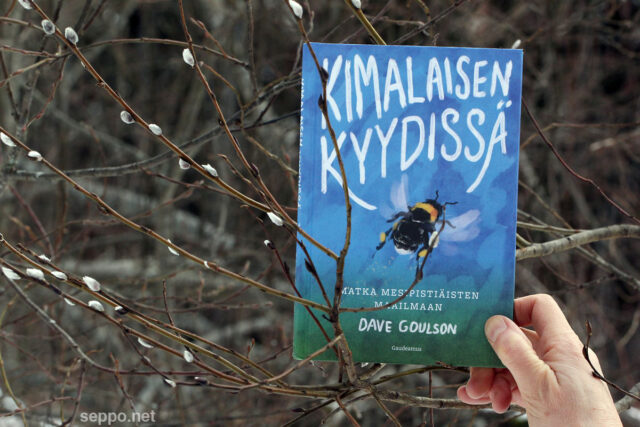 Kimalaisen kyydissä -kirja Dave Goulson suom. Auli Kilpeläinen